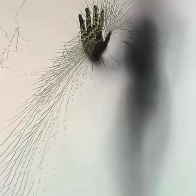 段文媛