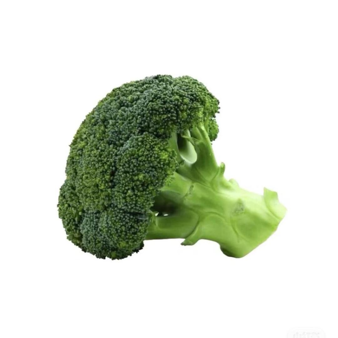 🌳