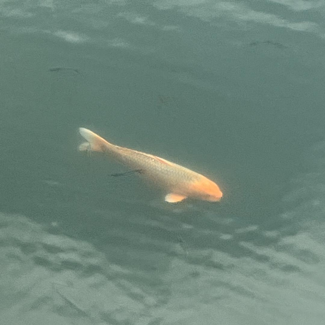 禹诚榻榻米商贸