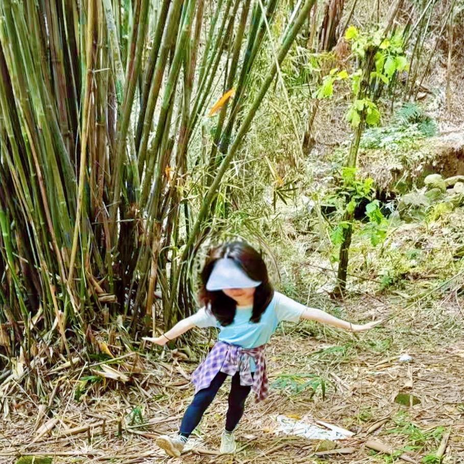 大汤圆