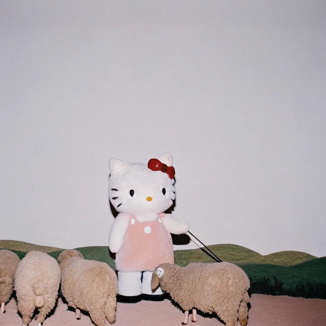 Hillary_Wang