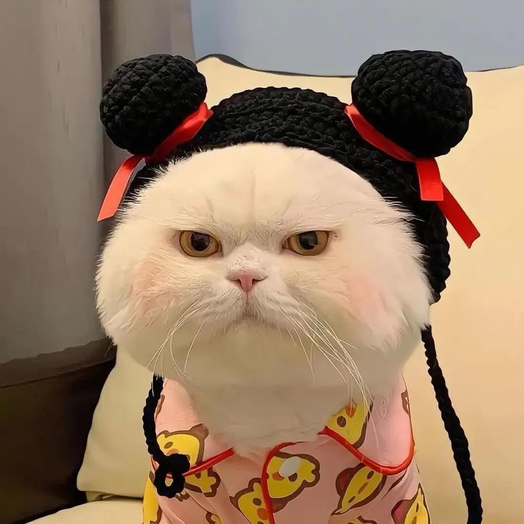 蛋炒饭～