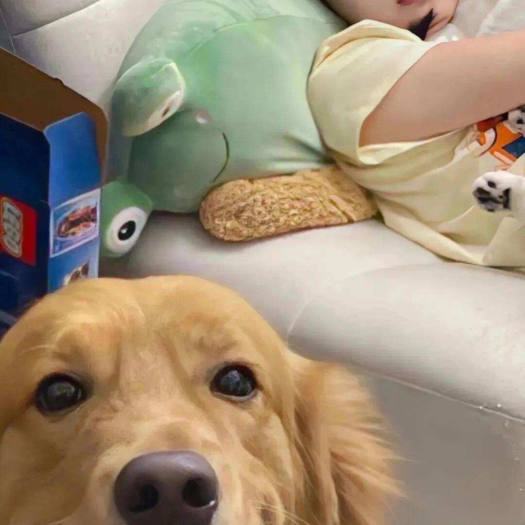 小黄鸭1（Pxx助力）