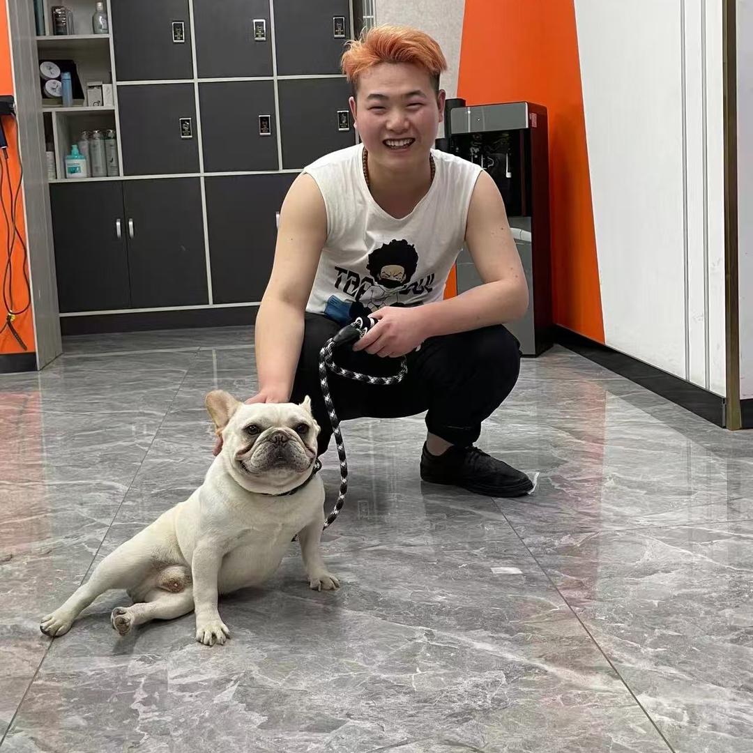李铁蛋