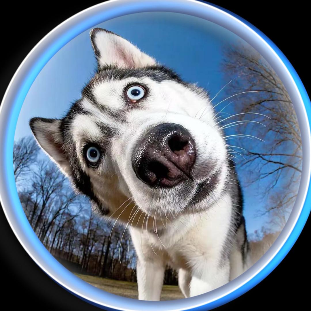 你的毛蛋🍃批作业版