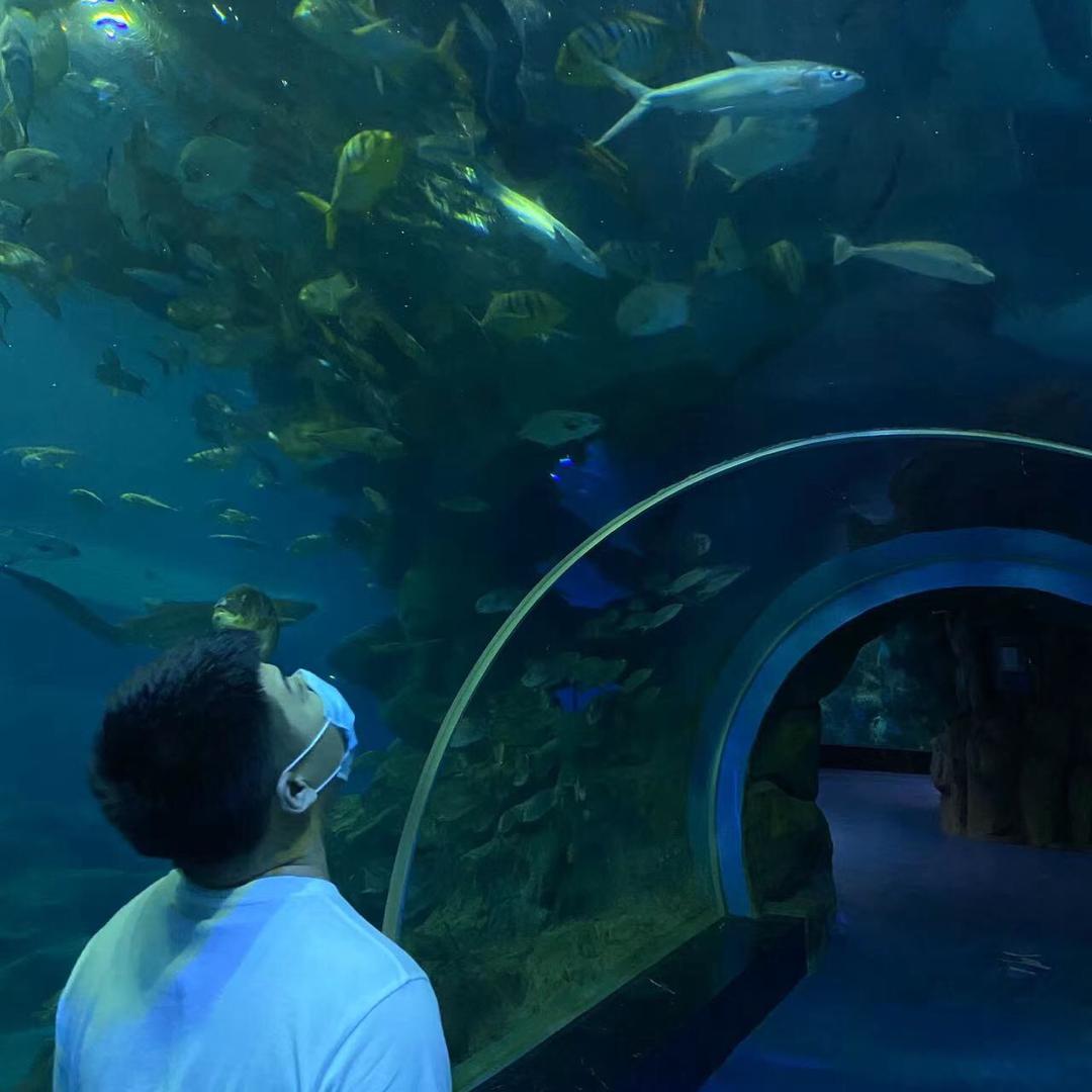 爱潜水的小李🤿