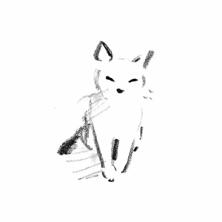 美地森