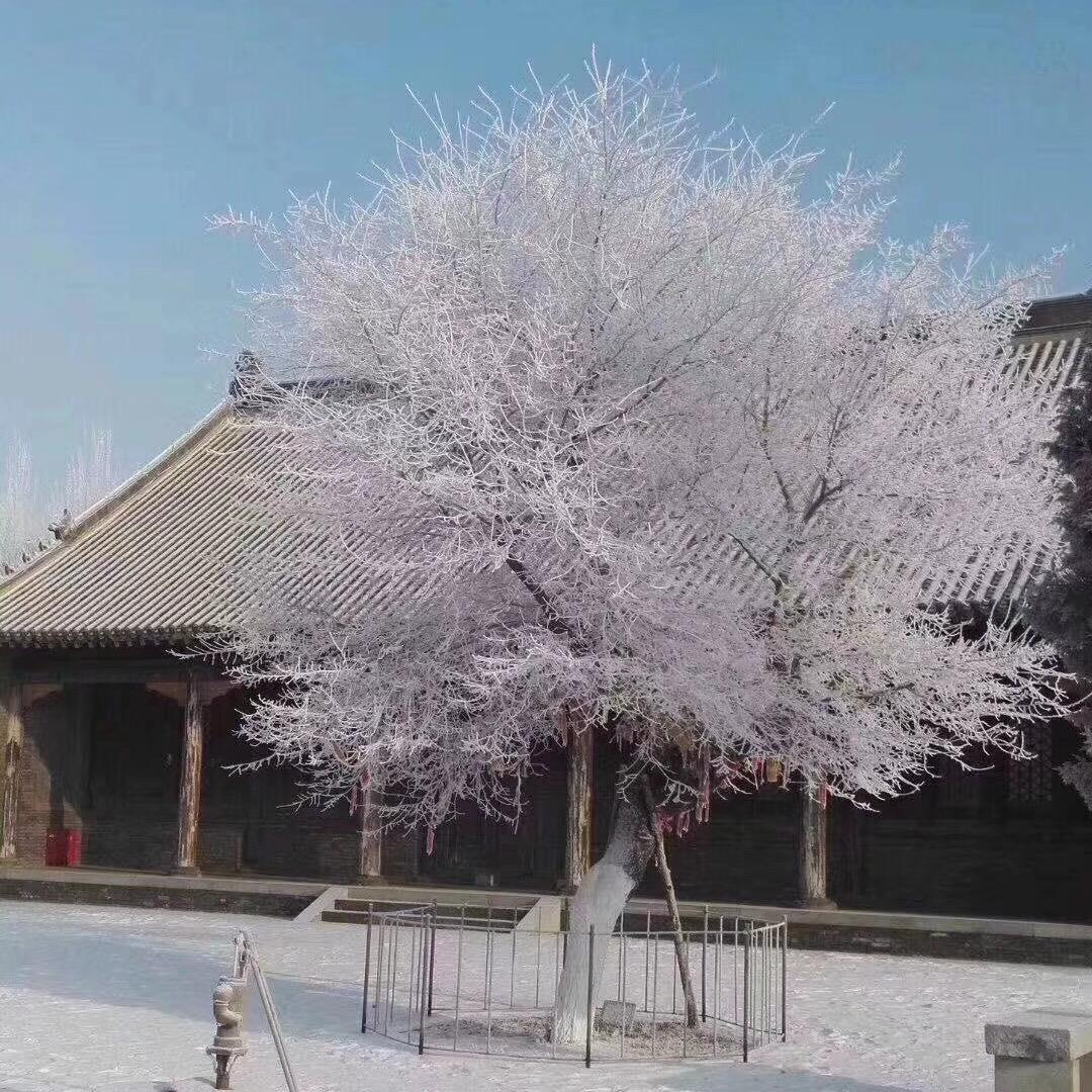 不吃西瓜皮