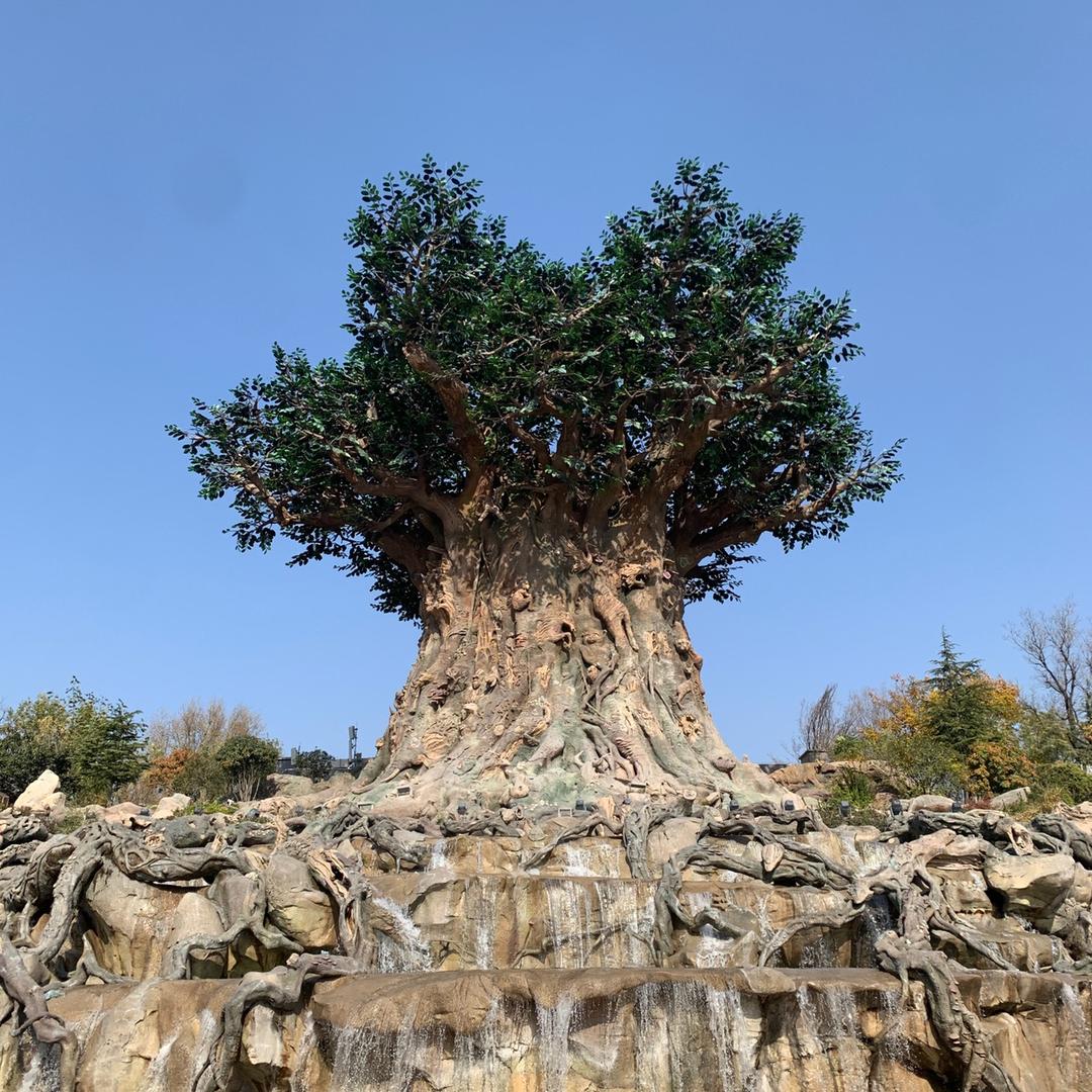 小刘同學