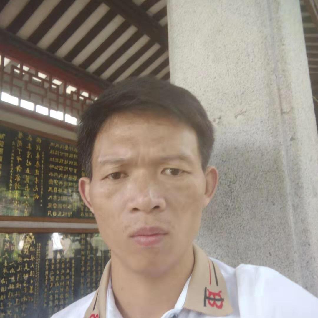 努力寻找你只等那一天