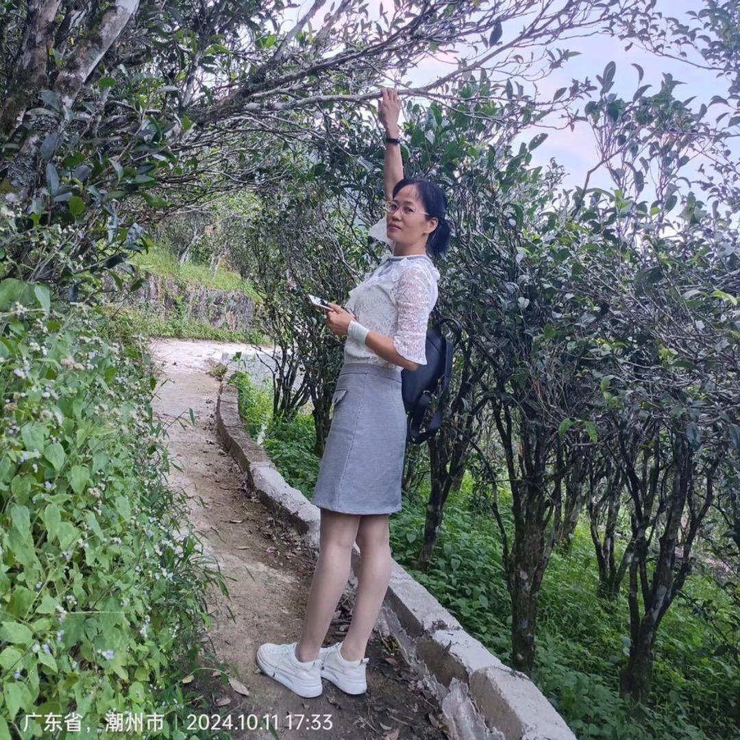 许多茶