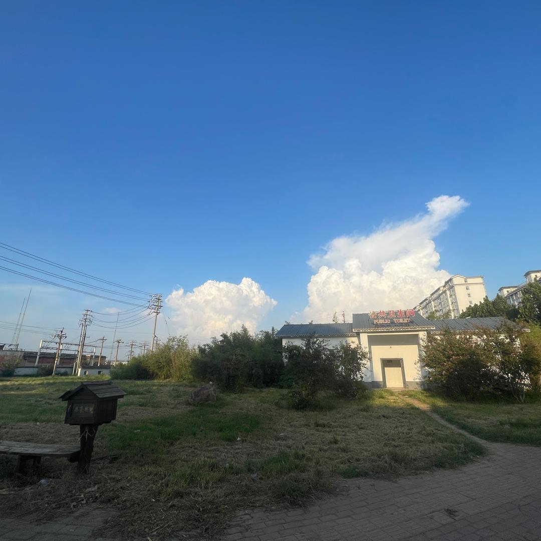 AA
