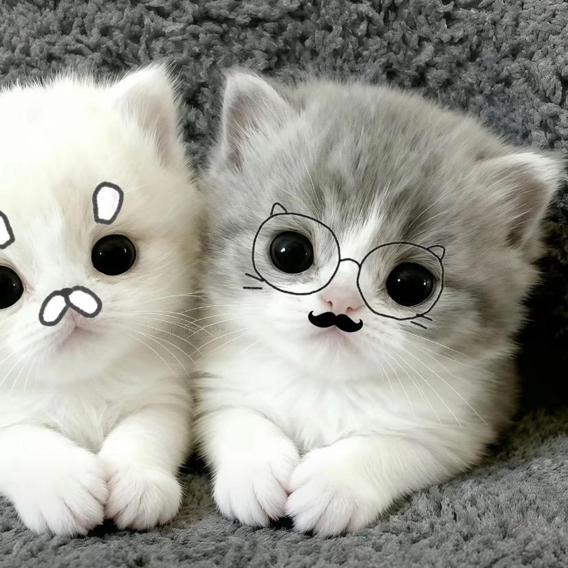 EHoon
