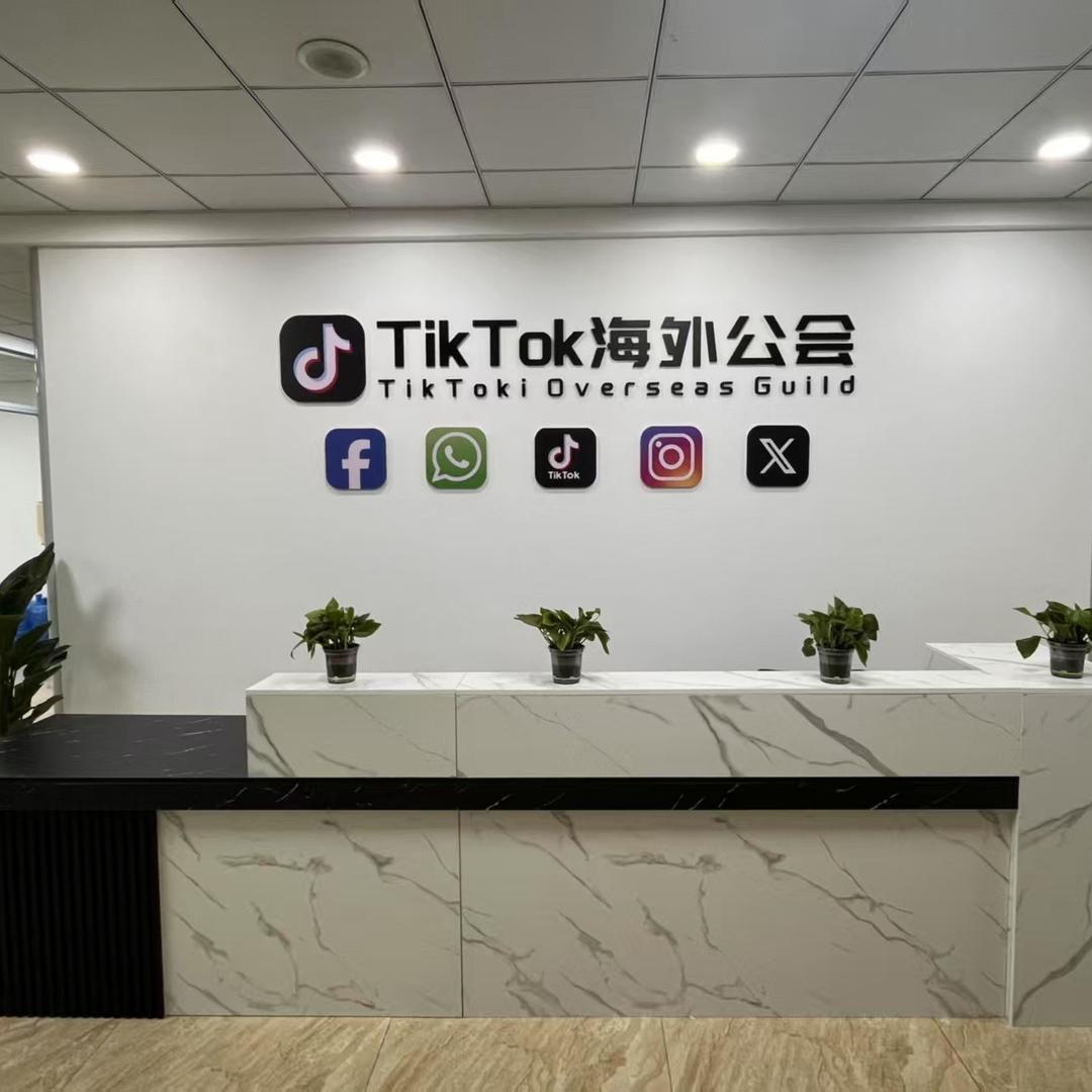 TK-小雪