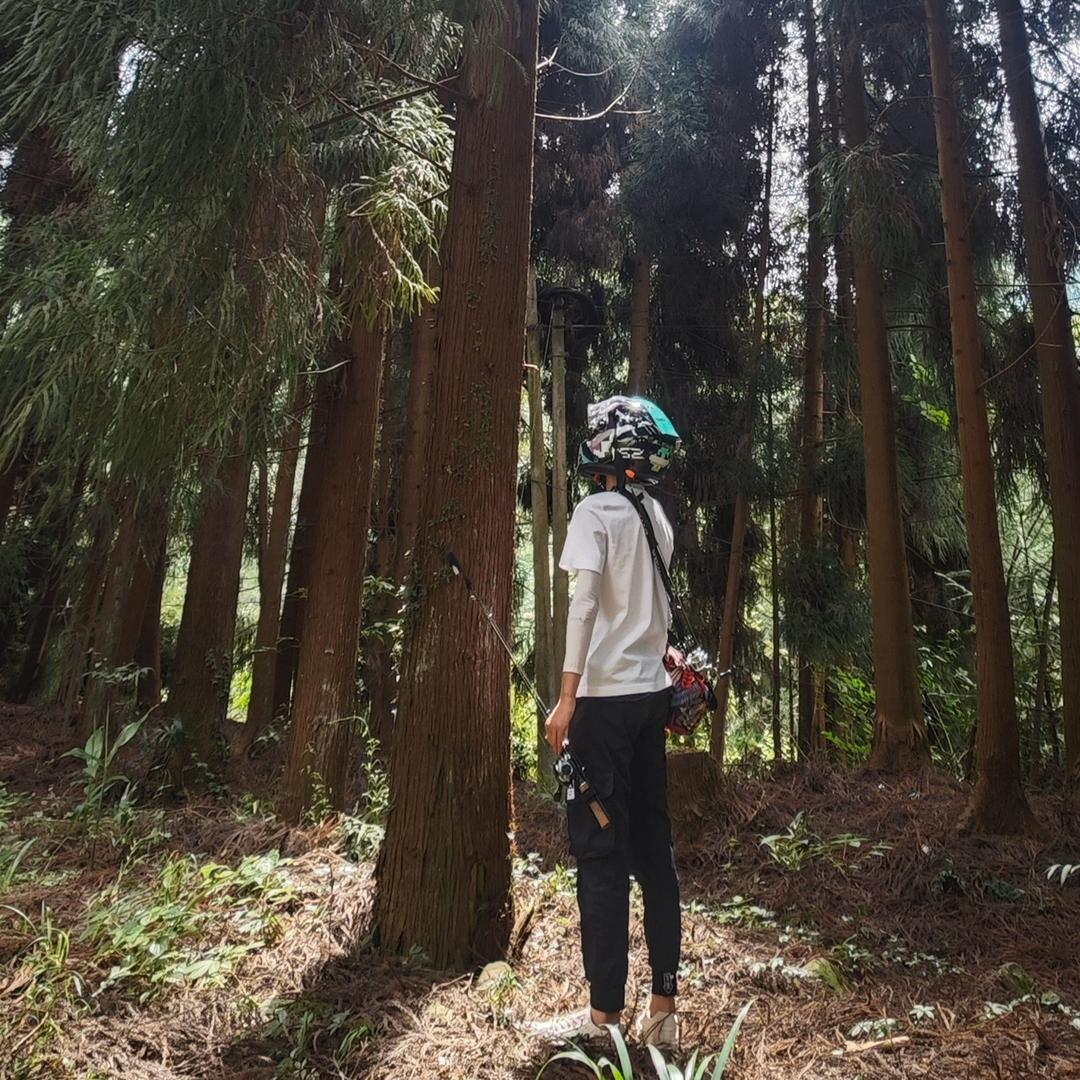 孑孓微物路亚🎣