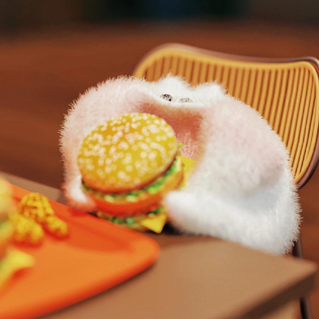 下了一场猫猫雨