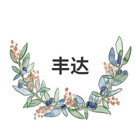 丰达FENGDA男鞋