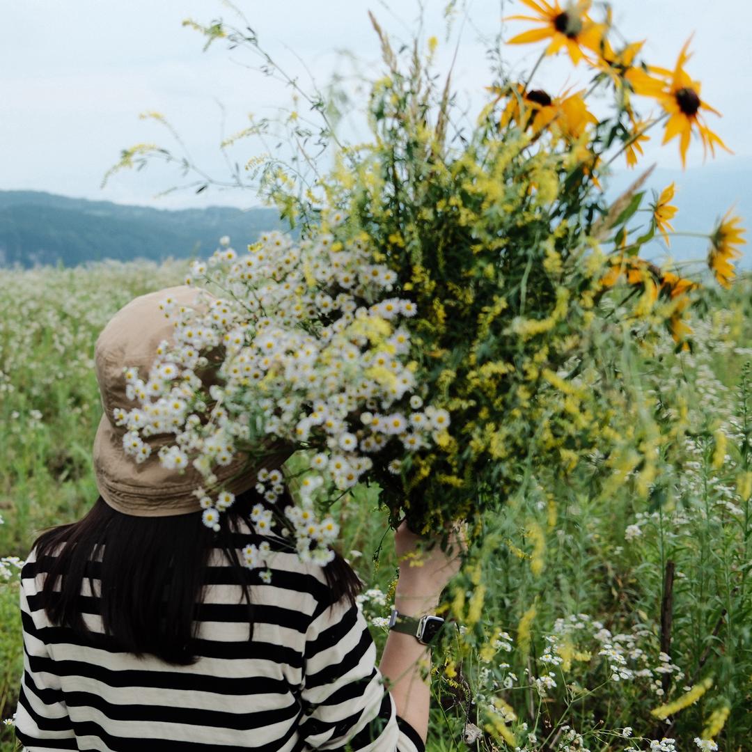 🍊桔子在树上🍊