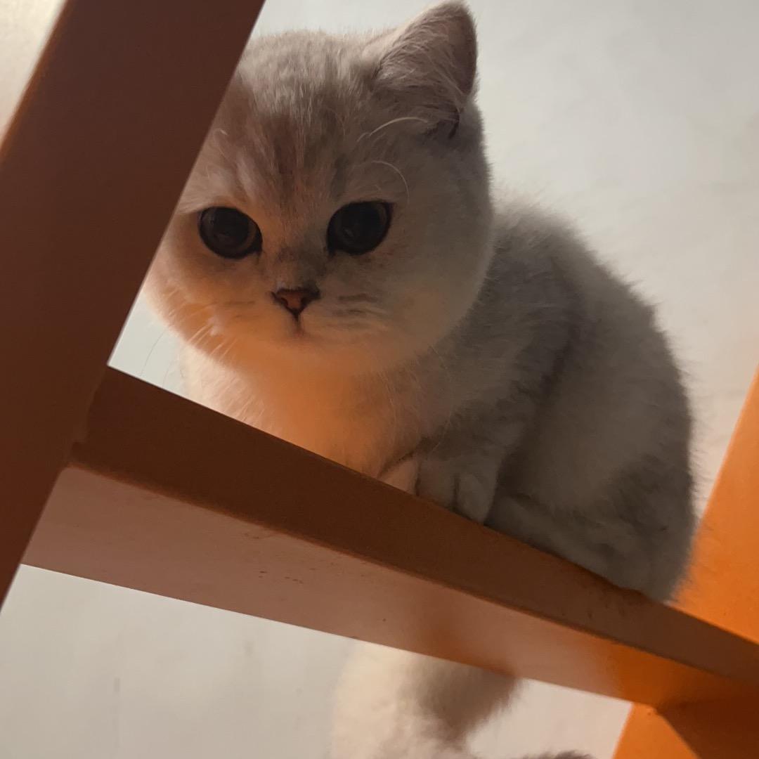 悠米少吃点