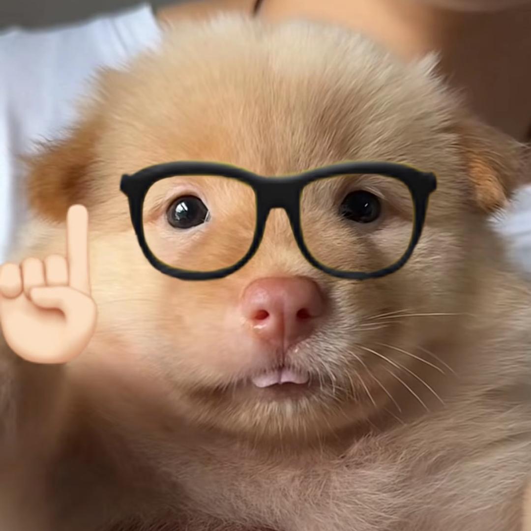土松小狗三千万