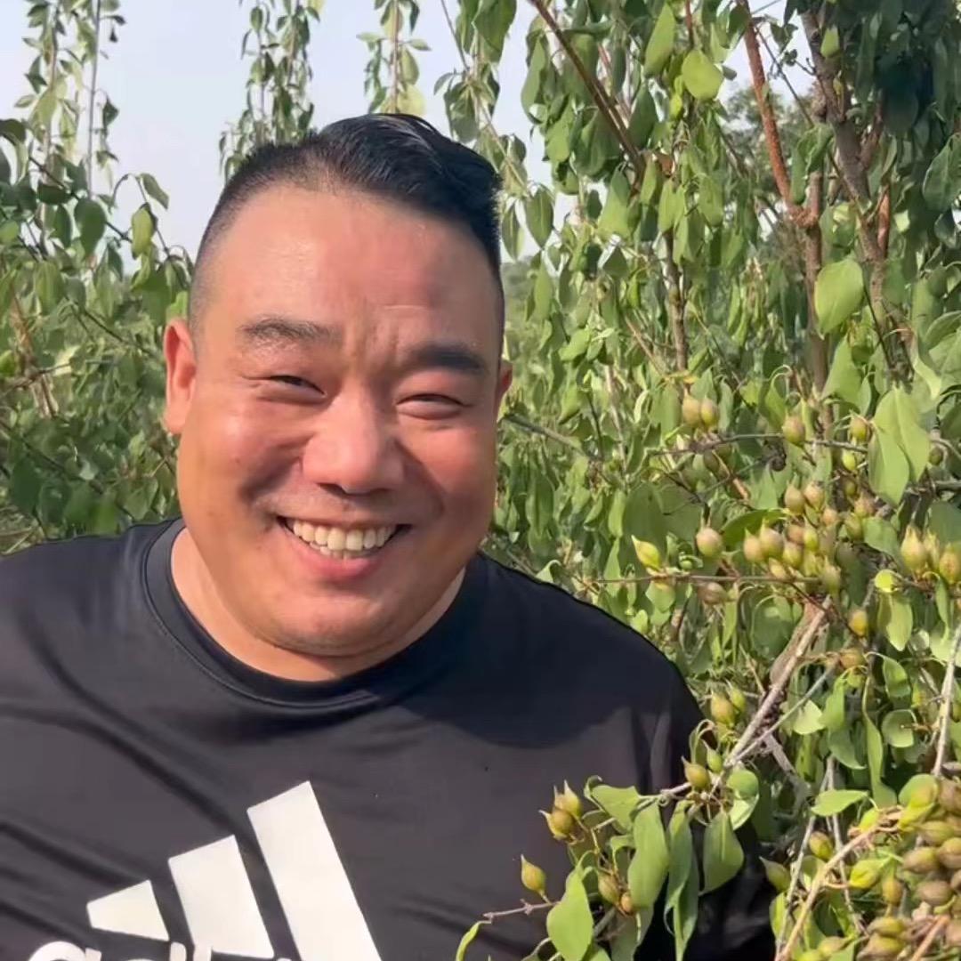 包回收高产大果连翹公司