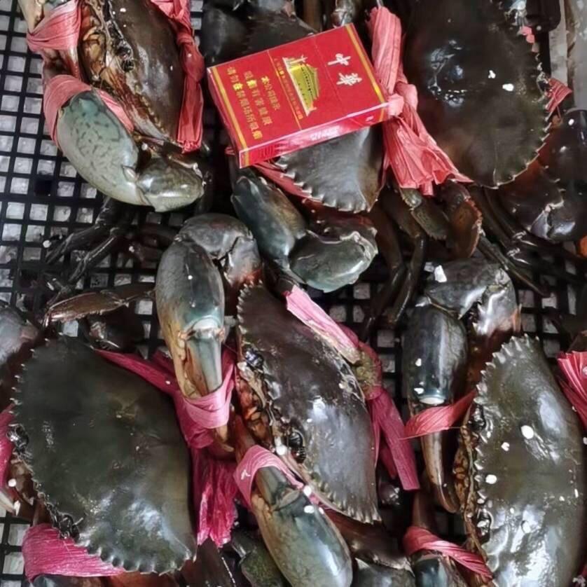 曾记蟹业