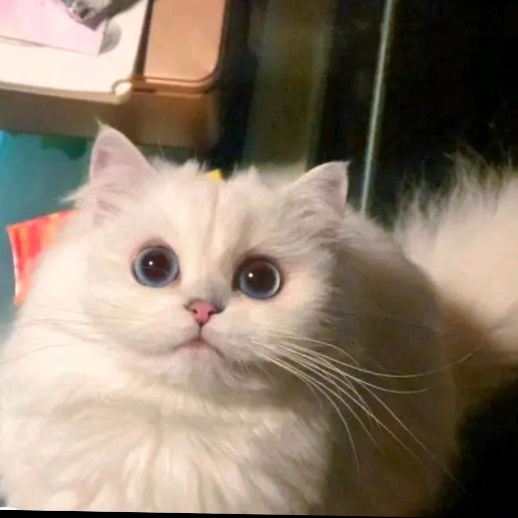 婉拒玛卡巴卡三十二次