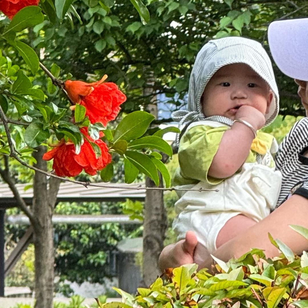 不吃芹菜茄子胡萝卜