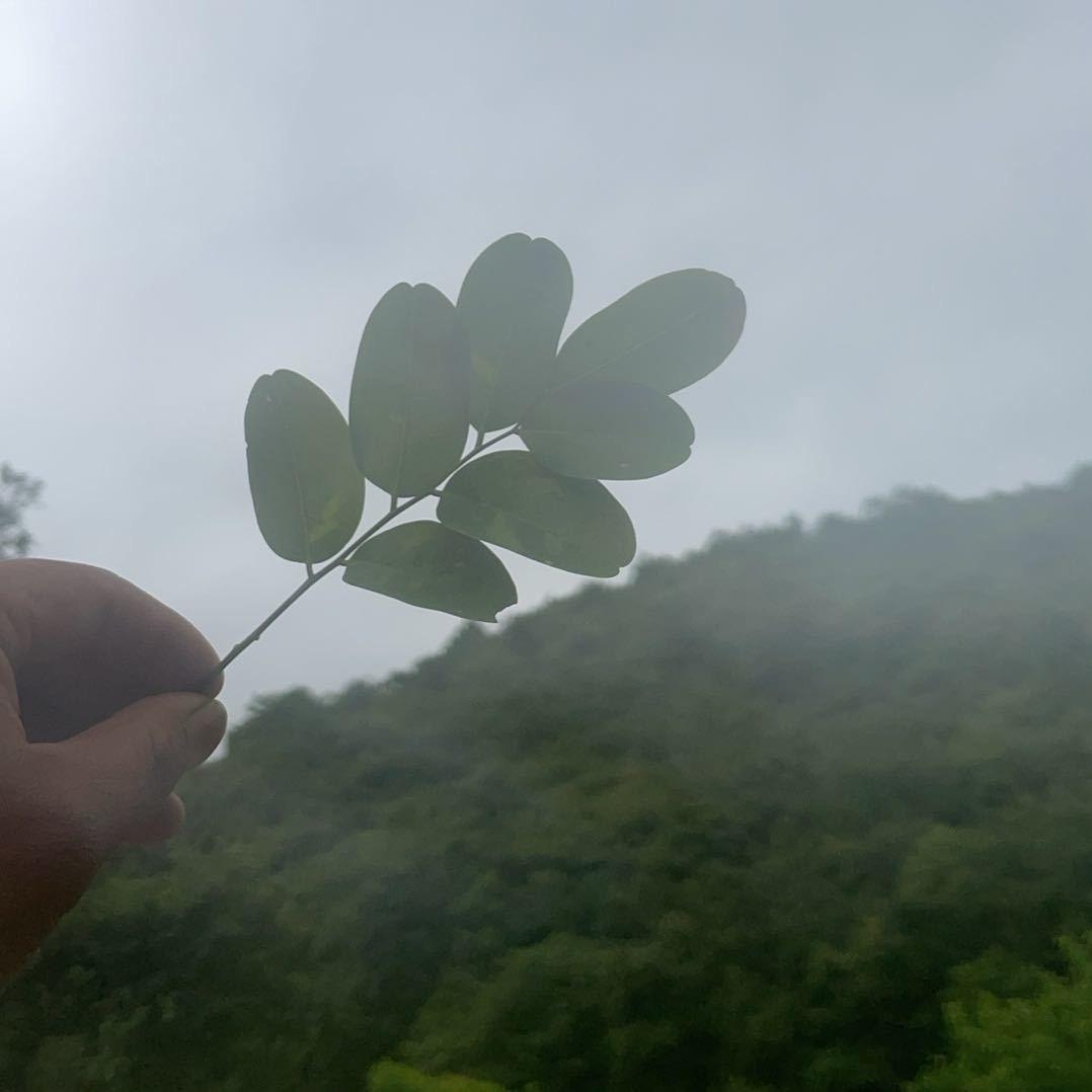 南京花小朵外卖运营