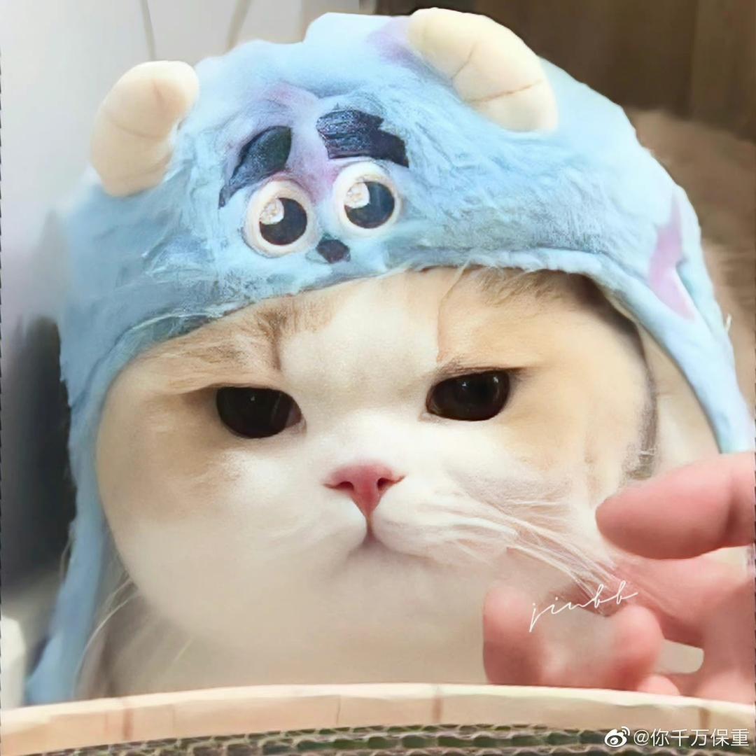 小涩瑶是好宝宝💖