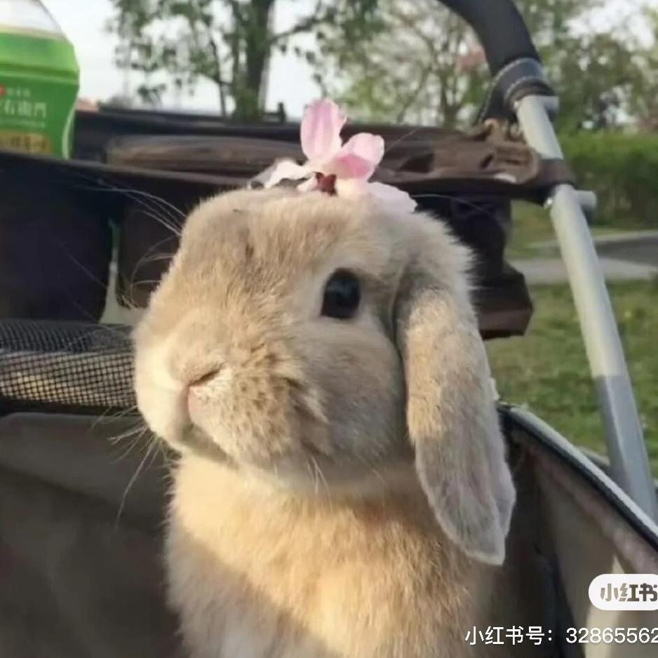 叫我杨姐