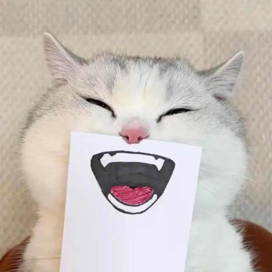 聪聪
