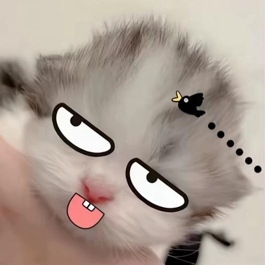 唉 小七