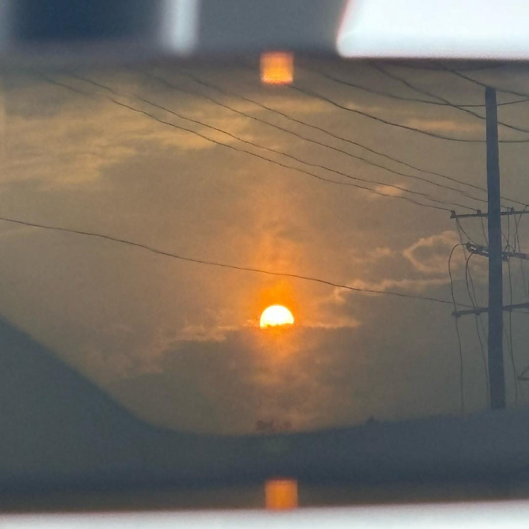 翩若惊鸿