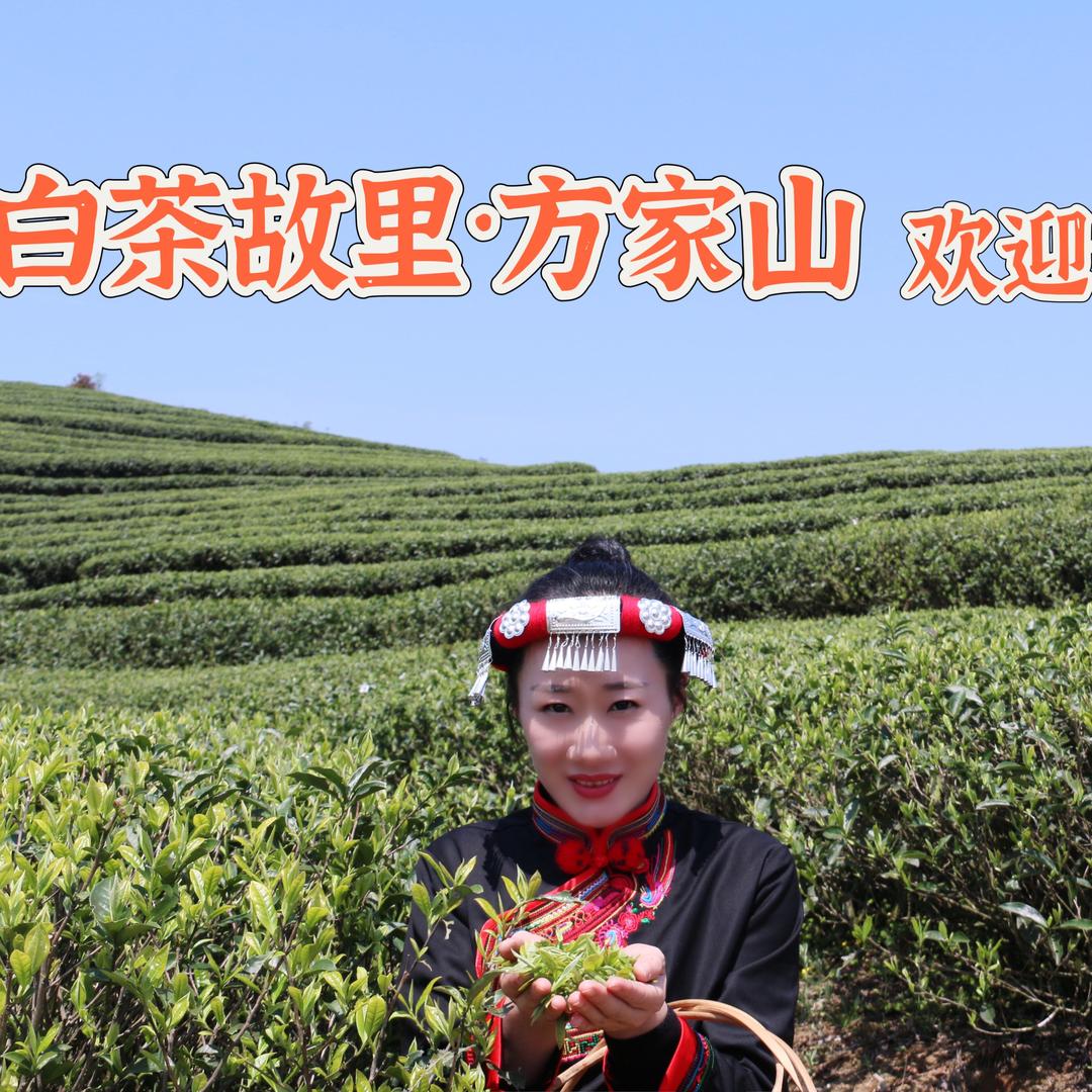 畲家小钟