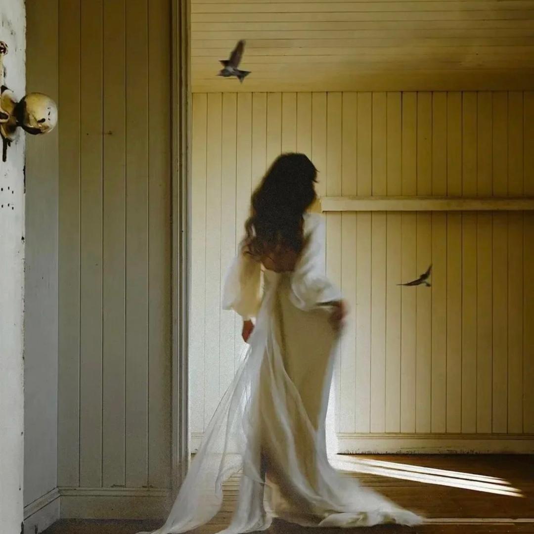 咖啡豆迷思（发此沙疯版