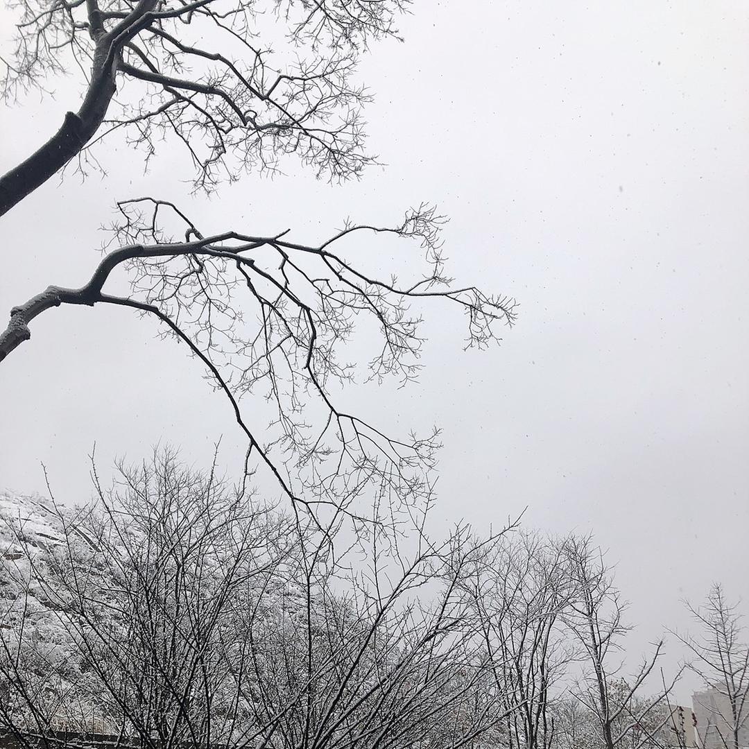 南城希雅