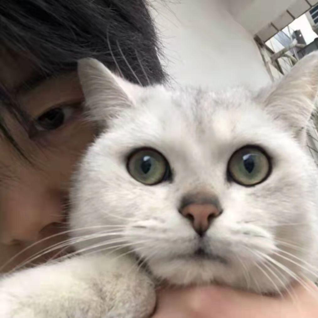 她言尽于此.