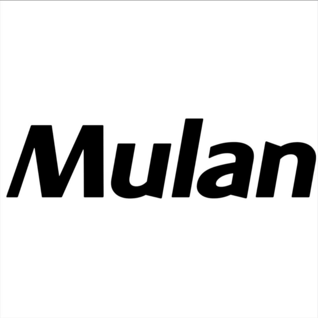 木兰头盔河南总代理