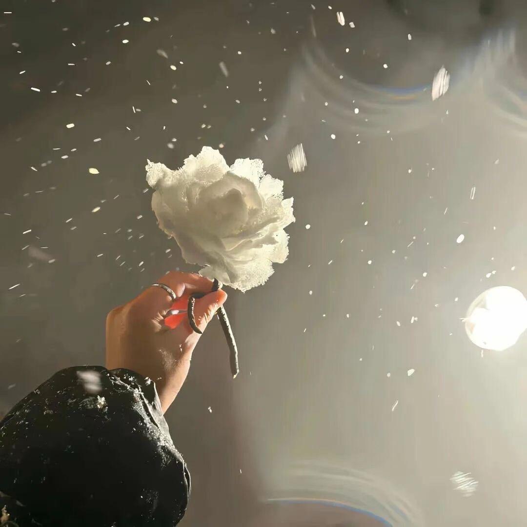 是刘柏bǎī汐！吖💤