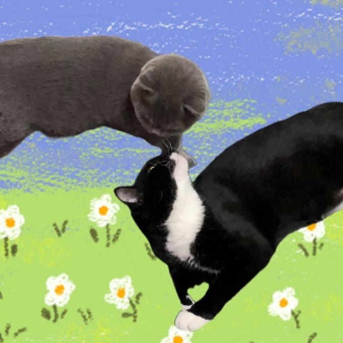 老程今天喝了吗