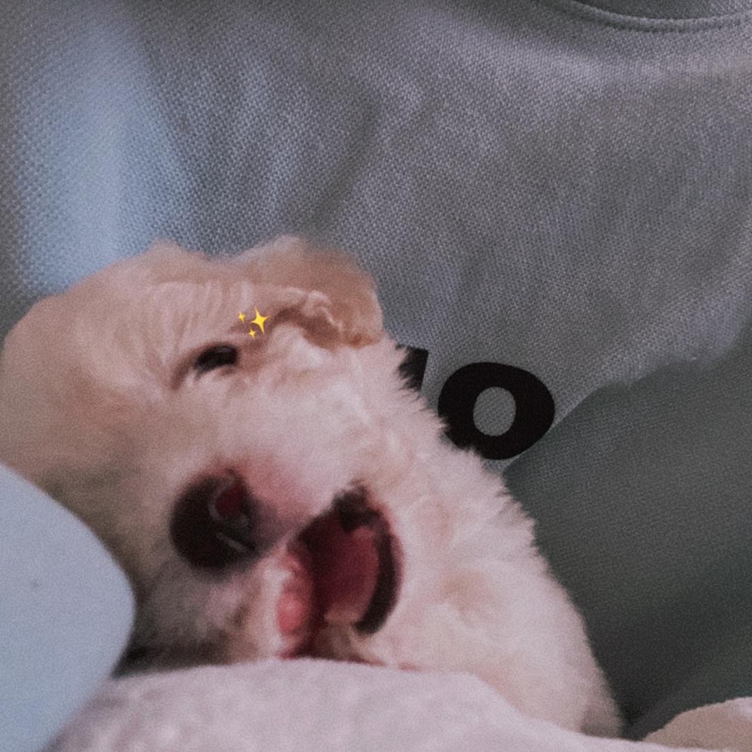扽扽