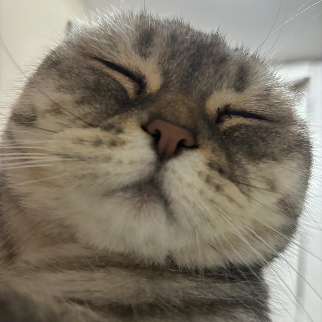 一只废鱼