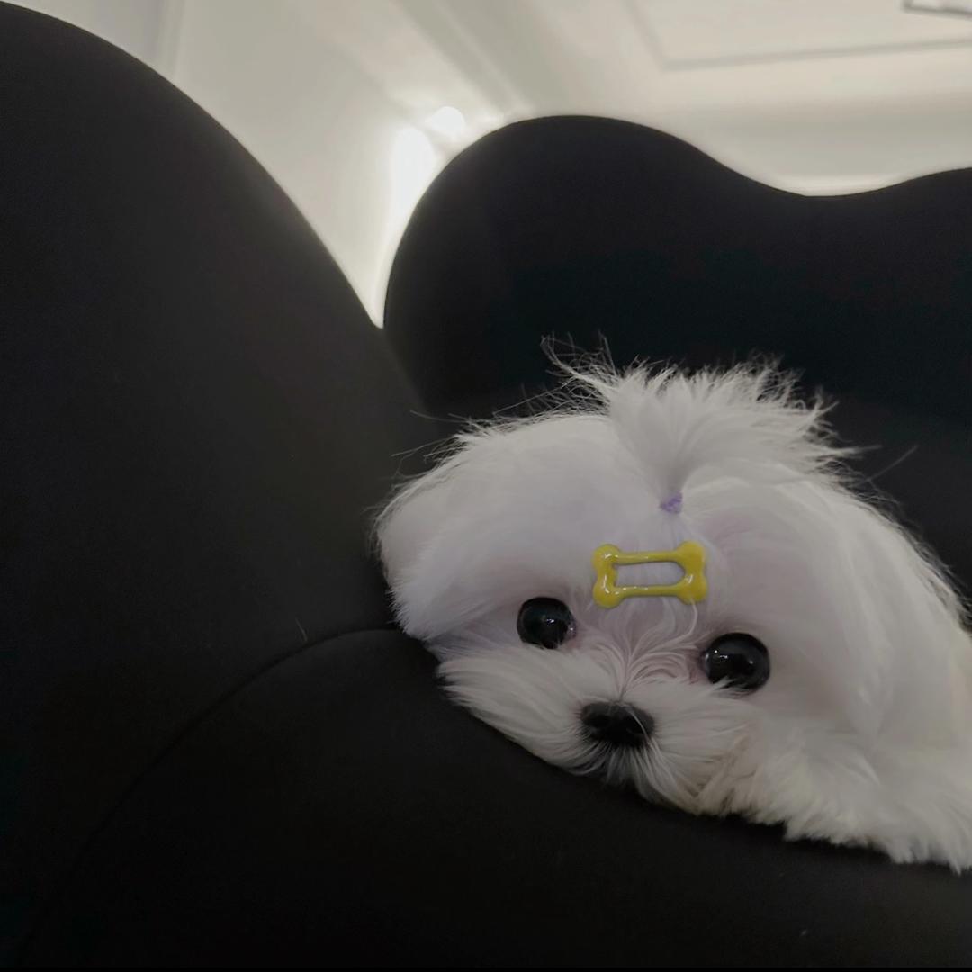 逗逗Baby.