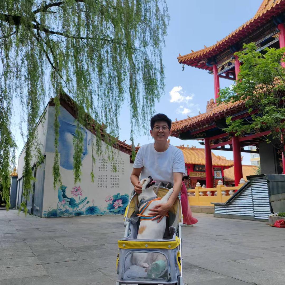 哈尔滨小白