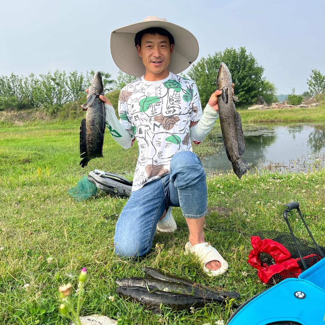 打黑不打龟