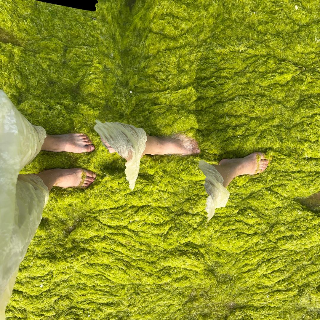 小陈故事多♥️