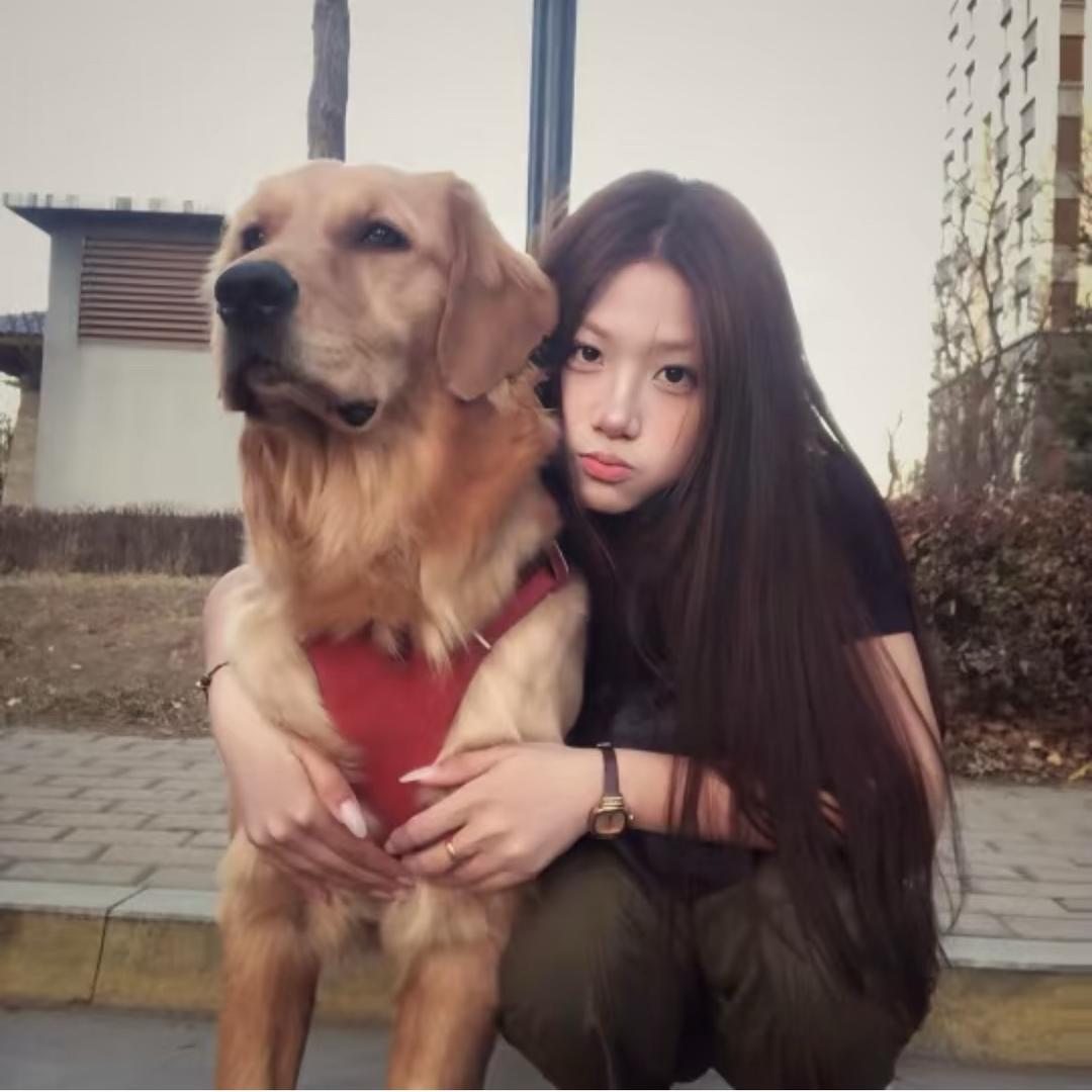 梨杏桐