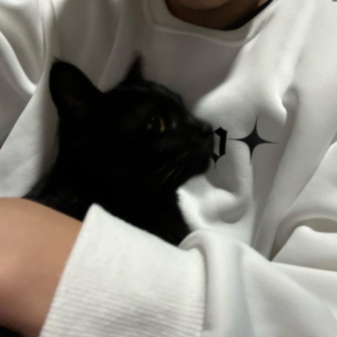 钦岩