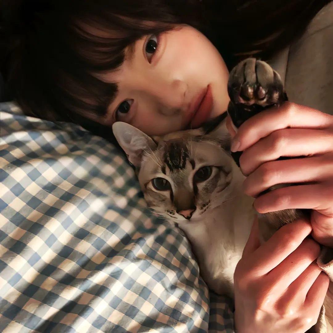 小恩肖阳姆汤猫